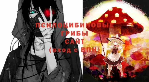 дмт Алзамай
