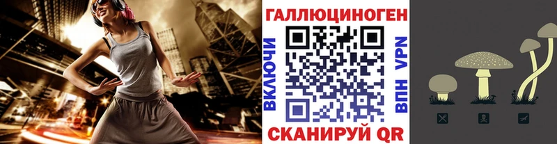Псилоцибиновые грибы Psilocybine cubensis  сколько стоит  Удачный 